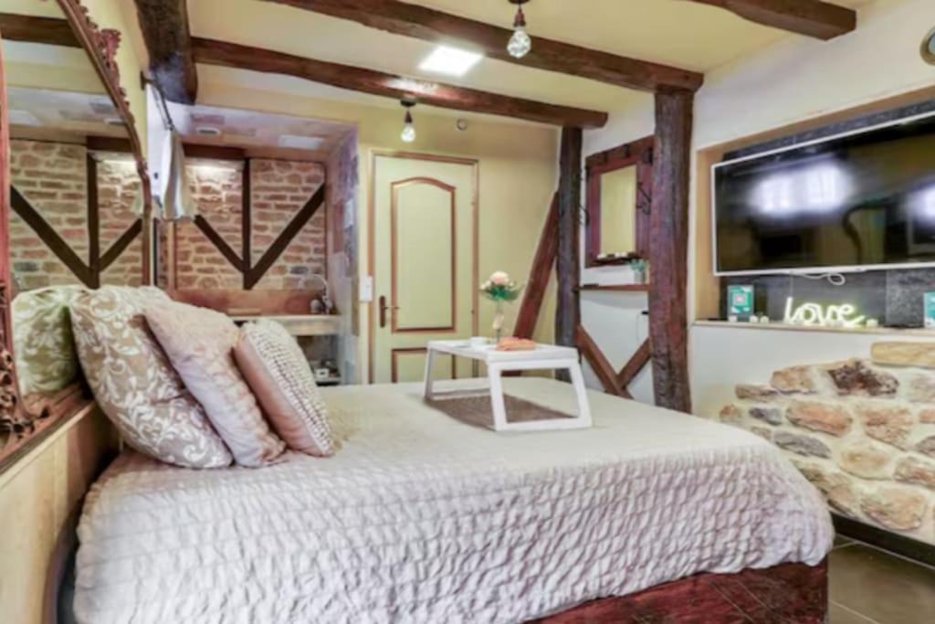 Le Romantique - Ancien Appartement Dijon